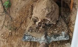 Kocaeli'de bahçede insan kafatası bulundu