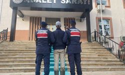 Kendisine saldıran köpeklerin sahibini vurdu