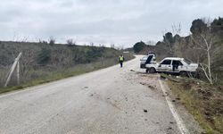 Bilecik'te direksiyon hakimiyetini kaybeden sürücü ağaca çarptı: 1 yaralı