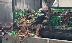 D-650'deki kazada fotoğraflar