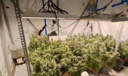 Evleri uyuşturucu serasına, tuvaletleri laboratuvara çevirmişler