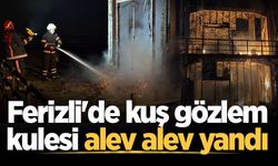 Ferizli'de kuş gözlem kulesi alev alev yandı