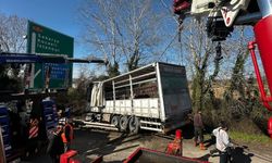 TEM’de kurbanlık yüklü tır şarampole uçtu