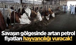 Savaşın gölgesinde artan petrol fiyatları hayvancılığı vuracak!