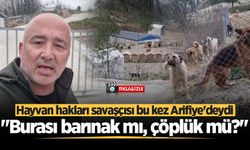 Arifiye'deki hayvan barınağını böyle görüntüledi: "Her yer pislik içinde, personel yok!"