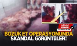Skandal görüntüler; Veremli hayvanın etini yedireceklermiş!