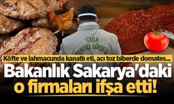 Bakanlık Sakarya'daki o firmaları ifşa etti! Köfte ve lahmacunda kanatlı eti, acı toz biberde domates...