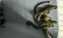 Tıbbi sülük üretim tesisine denetim gerçekleştirildi