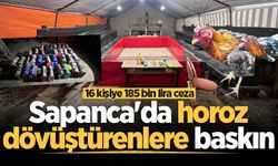 Sapanca'da horoz dövüştürenlere baskın: 16 kişiye 185 bin lira ceza