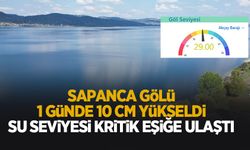 Sapanca Gölü'nde su seviyesinden güzel haber; Aylar sonra o seviyeyi gördü