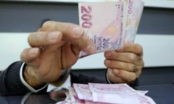 Toplam cironun yüzde 12,6'sı yabancı kontrollü girişimler tarafından elde edildi