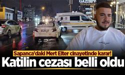 Sapanca'daki Mert Elter cinayetinde karar! Katilin cezası belli oldu