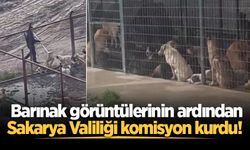 Geyve Pamukova'daki görüntüler sonrası Valilik harekete geçti: Komisyon kuruldu