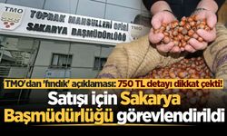 TMO'dan 'fındık' açıklaması: 750 TL detayı dikkat çekti! Satışı için Sakarya Başmüdürlüğü görevlendirildi