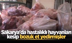 Sakarya'da hastalıklı hayvanları kesip bozuk etleri yedirmişler: 30 gözaltı