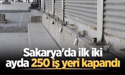 Sakarya'da ilk iki ayda 250 iş yeri kapandı