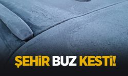 Sakarya’da gece ayazı: Kırağı her yeri beyaza bürüdü