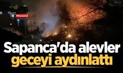 Sapanca’da gece yarısı korkutan yangın