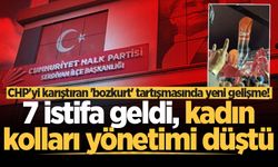 CHP'yi karıştıran 'bozkurt' tartışmasında yeni gelişme! 7 istifa geldi, kadın kolları yönetimi düştü
