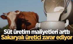 Süt üretim maliyetleri arttı, Sakaryalı üretici zarar ediyor