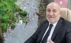Başkan Püsküllü'den Uludere Çayı'ndaki balık ölümleriyle ilgili açıklama
