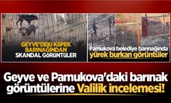 Geyve ve Pamukova'daki barınak görüntülerine Valilik incelemesi!