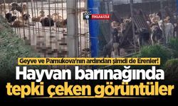Erenler hayvan barınağında tepki çeken görüntüler