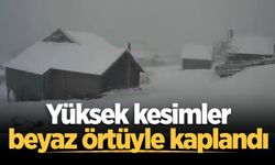 Sakarya'nın yüksek kesimleri beyaz örtüyle kaplandı