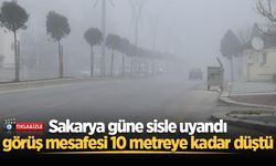 Sakarya güne sisle uyandı, görüş mesafesi 10 metreye kadar düştü