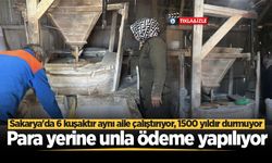 Sakarya'nın tarihe meydan okuyan 1500 yıllık değirmeni