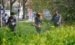 Serdivan’da bahar temizliği