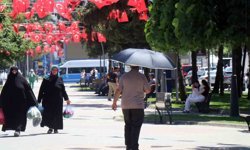 Mart ayında Marmara’nın en sıcağı Sakarya oldu