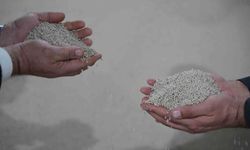 Bazı gübrelerde gümrük vergisi sıfırlandı