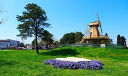 Sakarya’da baharın büyüleyici cümbüşü