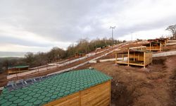 Serdivan’da sokak hayvanları için modern yaşam alanı yükseliyor