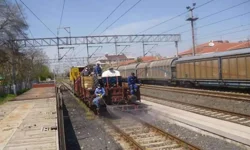 Valilik uyardı: Sakarya'daki demiryollarında ilaçlama yapılacak