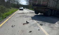 Kaza yapan kamyon sürücüsünün imdadına muhtar yetişti