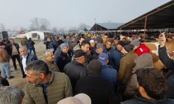 Hayvan pazarında hararetli pazarlık kamerada