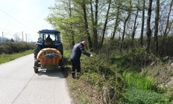 Sapanca’da larva ile mücadele çalışmaları