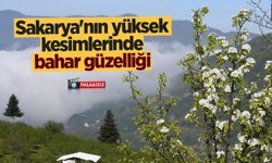 Sakarya'nın yüksek kesimlerinde bahar güzelliği