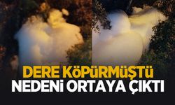 Dere bu yüzden köpürmüş