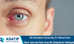 Göz Hastalıkları Uzmanı Doç. Dr. Mahmut Atum: Bahar aylarında polen artışı göz şikâyetlerini tetikleyebilir