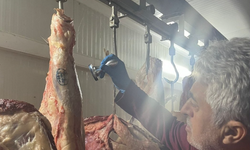 Kesimhanelere sıkı denetim