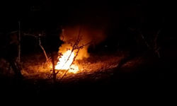 Üretici meyve ağaçlarını ateş yakarak koruyor