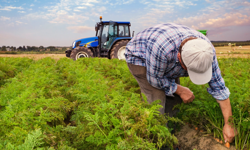Sakarya İl Tarım’dan üreticiye çağrı