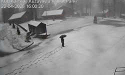 Kuzuyayla Tabiat Parkı beyaza büründü