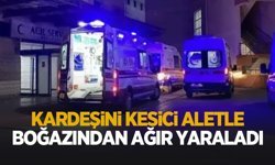 Kardeşini ağır yaraladı