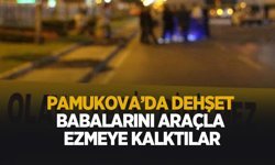 Babalarını araçla ezmeye kalktılar