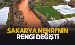 Sakarya Nehri'nin rengi değişti