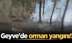 Geyve'de orman yangını: Ekipler müdahale ediyor